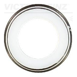 tarpiklis, vožtuvo šerdis
                                VICTOR REINZ                                                70-20