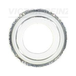 tarpiklis, vožtuvo šerdis
                                VICTOR REINZ                                                70-25