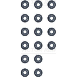 tarpiklių komplektas, vožtuvo šerdis
                                VICTOR REINZ                                         