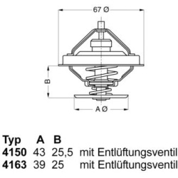 termostatas, aušinimo skystis
                                BorgWarner (Wahler)                                           