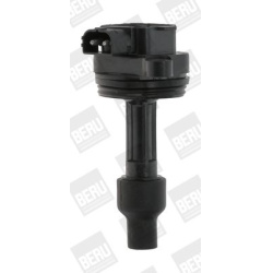 ritė, uždegimas
                                BorgWarner (BERU)                                                ZS446, Bor