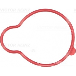 tarpiklis, įsiurbimo kolektorius
                                VICTOR REINZ                                               