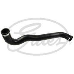 kompresoriaus padavimo žarna
                                GATES                                                090546, GA