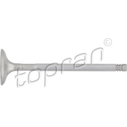išmetimo vožtuvas
                                TOPRAN                                                501 420, Nenurodyta