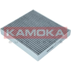 filtras, salono oras
                                KAMOKA                                                F513801, KAMOKA, F