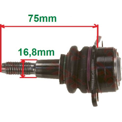 Šarnyras
                                COMLINE                                                CBJ7251, COMLINE, CBJ7251, a