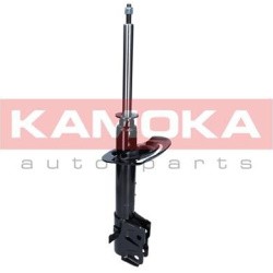 amortizatorius
                                KAMOKA                                                2000318, KAMOKA, 2000318