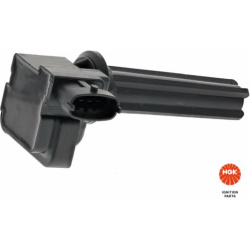 ritė, uždegimas
                                NGK                                                49066, NGK, 49066, auto 