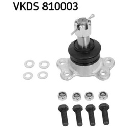 Šarnyras
                                SKF                                                VKDS 810003, SKF, VKDS810003, au