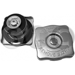 radiatoriaus dangtelis
                                STC                                                T445139, STC, T4451