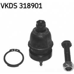 Šarnyras
                                SKF                                                VKDS 318901, SKF, VKDS318901, au
