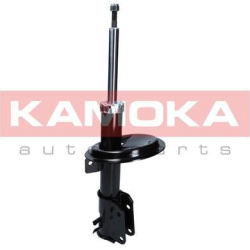 amortizatorius
                                KAMOKA                                                2000384, KAMOKA, 2000384