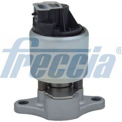 ERG vožtuvas
                                FRECCIA                                EGR12-111, FRECCIA, EGR12-111, auto deta