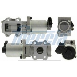 ERG vožtuvas
                                FRECCIA                                                EGR12-170, FRECCIA, EGR1