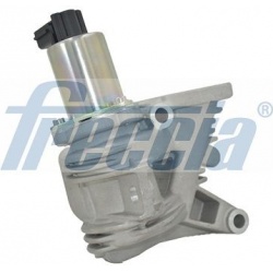 ERG vožtuvas
                                FRECCIA                                EGR12-117, FRECCIA, EGR12-117, auto deta