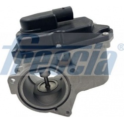 ERG vožtuvas
                                FRECCIA                                                EGR12-123, FRECCIA, EGR1