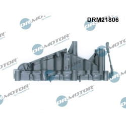 Įsiurbimo kolektoriaus modulis
                                Dr.Motor Automotive                                          