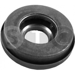 frikcinis guolis, pakabos statramsčio atramos montavimas
STC