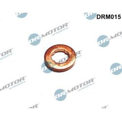 šiluminis ekranas, įpurškimo sistema
                                Dr.Motor Automotive                                  