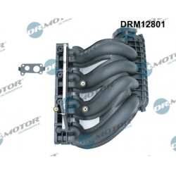 įsiurbimo kolektoriaus modulis
                                Dr.Motor Automotive                                          