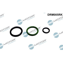 remonto komplektas, siurblio-purkštukų blokas
                                Dr.Motor Automotive                          
