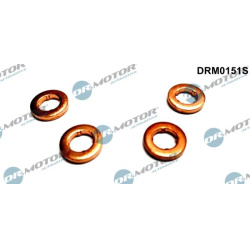 šiluminis ekranas, įpurškimo sistema
                                Dr.Motor Automotive                                DR