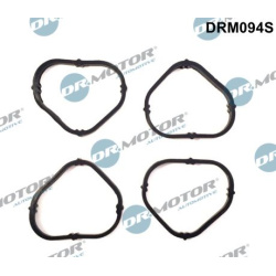 tarpiklių rinkinys, įsiurbimo kolektorius
                                Dr.Motor Automotive                              