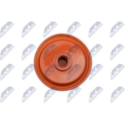 Alsuoklis, membrana
                                NTY                                                BPZ-PL-005, NTY, BPZ-P