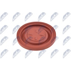 Alsuoklis, membrana
                                NTY                                                BPZ-CT-005, NTY, BPZ-C