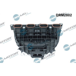 įsiurbimo kolektoriaus modulis
                                Dr.Motor Automotive                                          