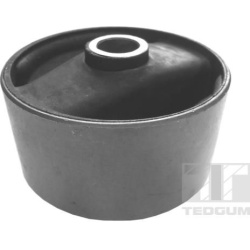 variklio montavimas
                                TEDGUM                                                00166922, TEDGUM, 0