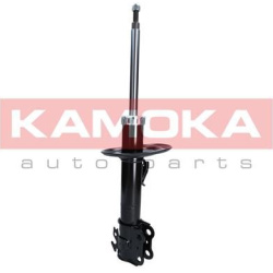 Amortizatorius priekinis
                                KAMOKA                                                2000255, KAMOK